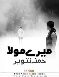 Mere Moula By Humna Tanveer