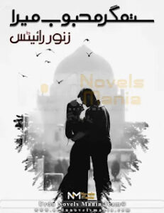 Sitamgar Mehboob Mera By Zanoor Writes