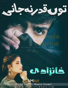 Tu Qadar Na Jani novel by Khaanzaadi