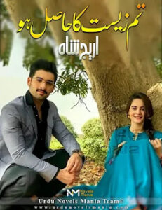 Tum Zeest Ka Hasil Ho By Areej Shah