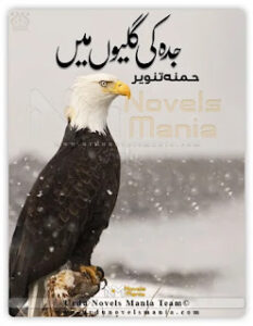 Jeddah Ki Galiyon Mein By Hamna Tanveer