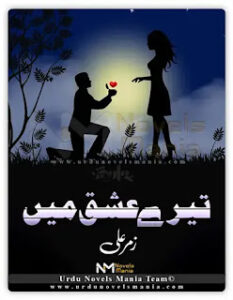 Tere Ishq Main By Zummer Ali