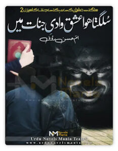 Soulagta Huwa Ishq Wadi E Jinaat Main Complete Novel By Umme Hasan Rouf