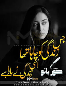 Jis Zindagi Ko Chaha Tha Usi Zindagi Ne Mara Hai By Hoor Bano