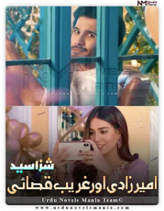 Ameer Zadi Aur Ghareeb Qasai Last Epi By Shiza Syed