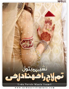 Tum Laaj Rakhna Dil ki Complete Novel By Nishey Batool