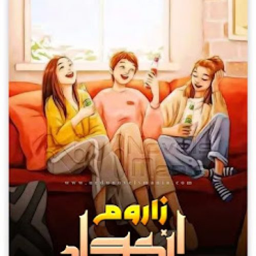 Anmol Novel By Zaroom