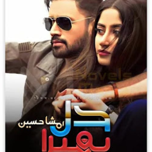 Dil Yeh mera Novel By Rimsha Hussain